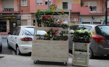 Floristeria Rosa Mary