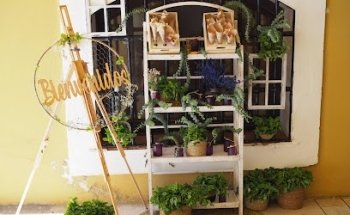 Floristería Verde y Mimosa