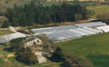 Floristería Teixido