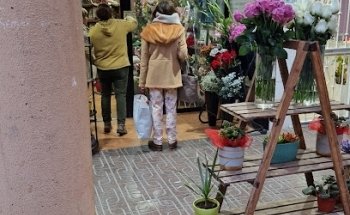 Floristería Monforte