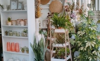 Flores Castillón SL