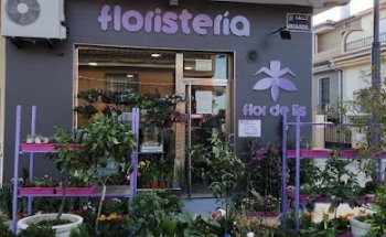 Floristería la Flor de Lis