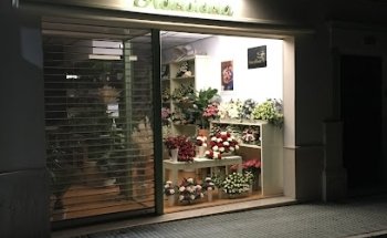 FLORISTERIA MOLINA - CAÑADA ROSAL