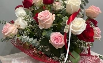 Floristeria Vida Verda