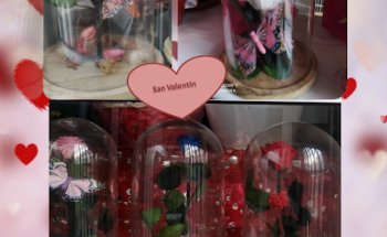 Floristería y semillería La Carrera