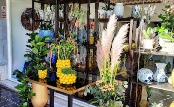 Casa de las Flores Marbella