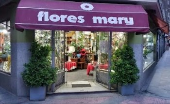 Flores Mary