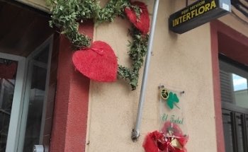 El Trebol Floristeria