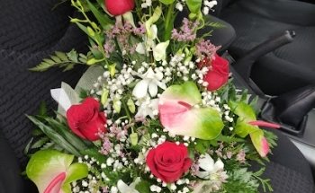 Floristería Rosetta