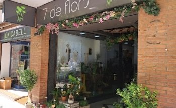 7 DE FLORS - Parisi flors