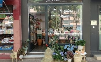 La Floristería de Florida by Rosify Box