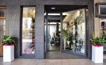 Floristería ARANTZA LORADENDA Zarautz