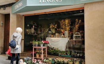 Tinons Floral Designer