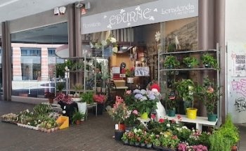 Floristería Nekane Loreak