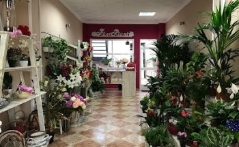 Floristería FloriPlant