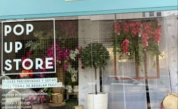 Entredos Pop-Up Store