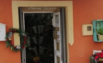 Floristería Mª Luisa