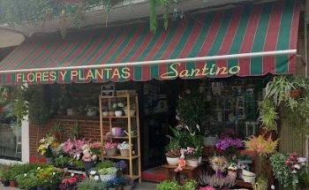 Floristería Santino