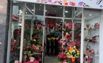 Ma casa en Barcelona