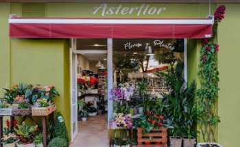 Asterflor - Flores y Plantas