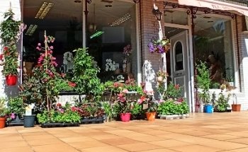 Floristería El Sauce