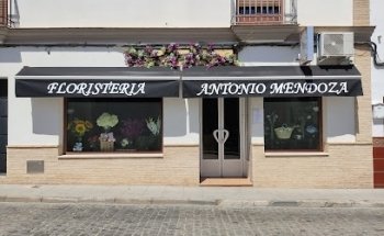 Floristería Antonio Mendoza - Arte Floral