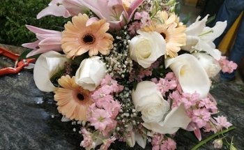 Floristería Huerta Palacios