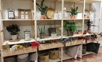 Flores de mis amores