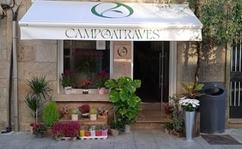 Campoatraves