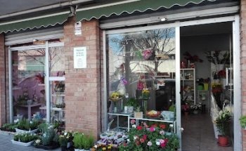 Floristeria El raconet de les Flors