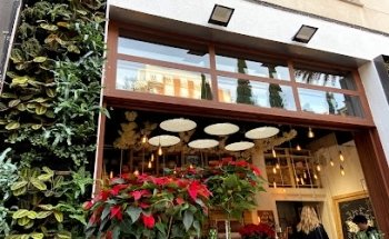 Floristería La Rosa Blanca