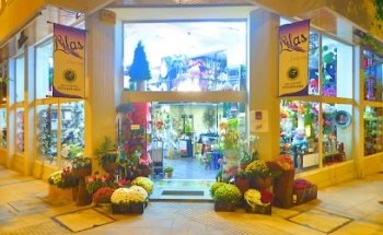 Floristería Lilas - Santiago