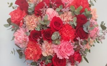 Floristería Hnos Olmedo