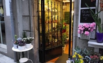 Floristería Galería