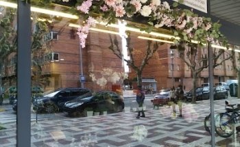 Más allá de las flores