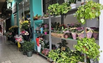 Floristería Valenflora