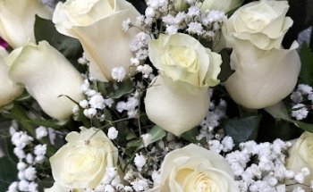 Lorategia Zizur Jardín