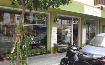 Floristería H Garden Spain