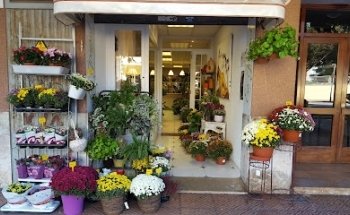 Es Girasol Floristería