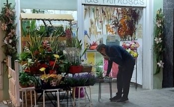 Floristería Las Mimosas