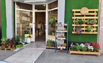 El Ceibo flores&deco