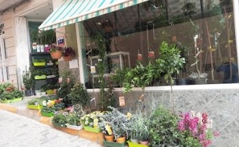 Floristería Pajareria Ruiseñor