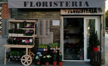 Floristería Kalatea II