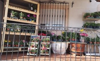 Floristeria La Andaluza