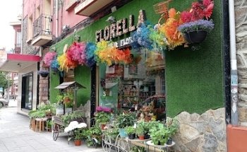 Floristeria Florella Mieres