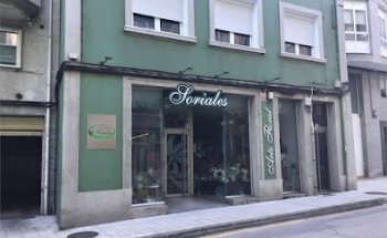 Arte Floral Soriales