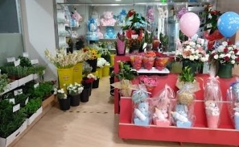 Floristería Macarena