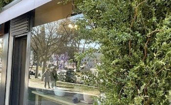 Mazabel - Arte floral