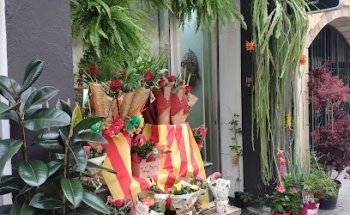 H. BRAGANÇA florist Studio