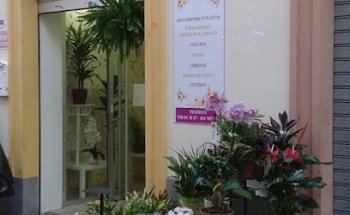 Floristería Víctor